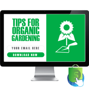 Tips for Organic Gardening